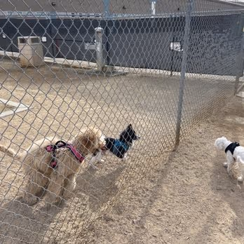 Dog Park at Dos Escuelas Park photo 2